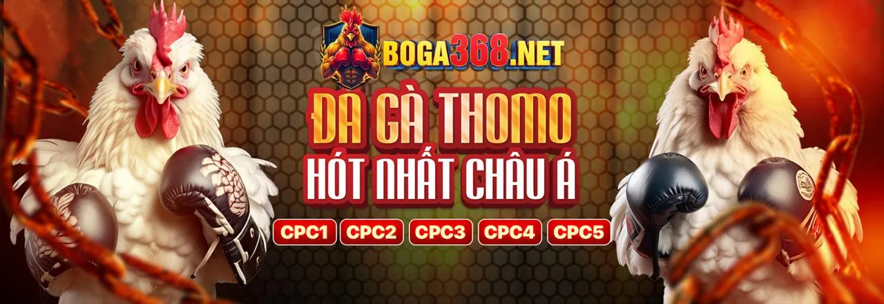 Kết luận và lời kêu gọi hành động tham gia TD88